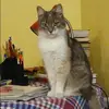 Отзыв от Зоя Козлова